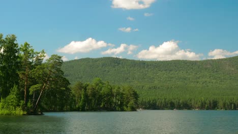 lake and forest scenery