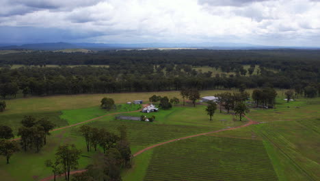 Aerial-drone-shot-of-green-field-and-forest