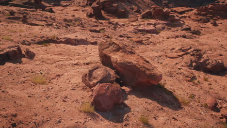 red rock desert landscape