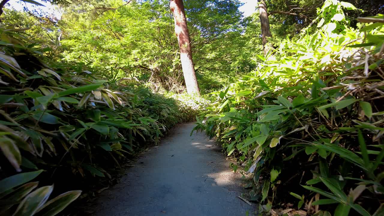 도쿄의 아름다운 공원