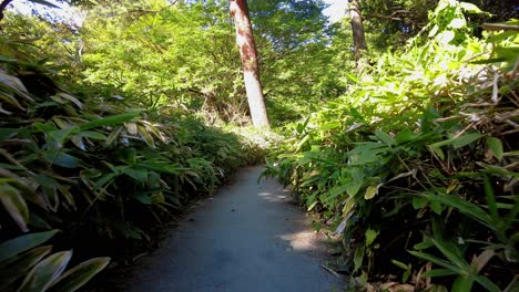 el hermoso parque de tokio.