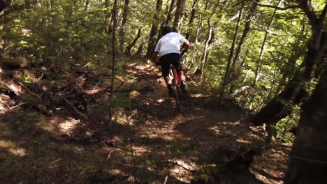Mountain-bike-rider-racing-down-a-rocky-hill-and-through-a-lush-forest-on-his-enduro-mountain-bike-in-the-New-Zealand-backcountry