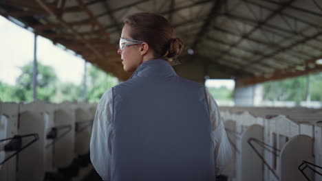 farming manager walking shed rear view. cattle breeder inspecting newborns.
