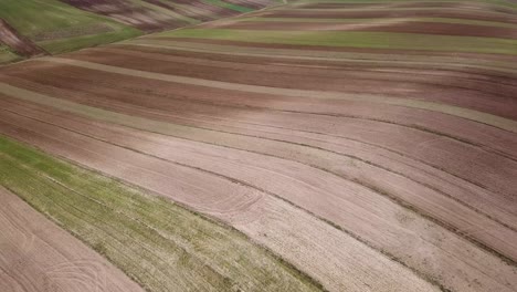 Toma-Aérea-De-Trigo-Cultivo-De-Secano-Agricultura-Tradicional-De-Granja-Seca-Temporada-De-Verano-Marrón-Maravilloso-Paisaje-Escénico-De-Colinas-En-La-Línea-De-Perspectiva-Llana-Cosecha-De-Irán-Campo-De-Tierra-De-Granjero-Local