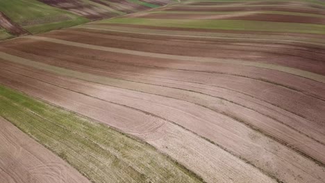 aerial shot from wheat rainfed cultivation traditional dry farm agriculture summer season brown wonderful scenic landscape of hills in the plain perspective line iran harvest local farmer land field