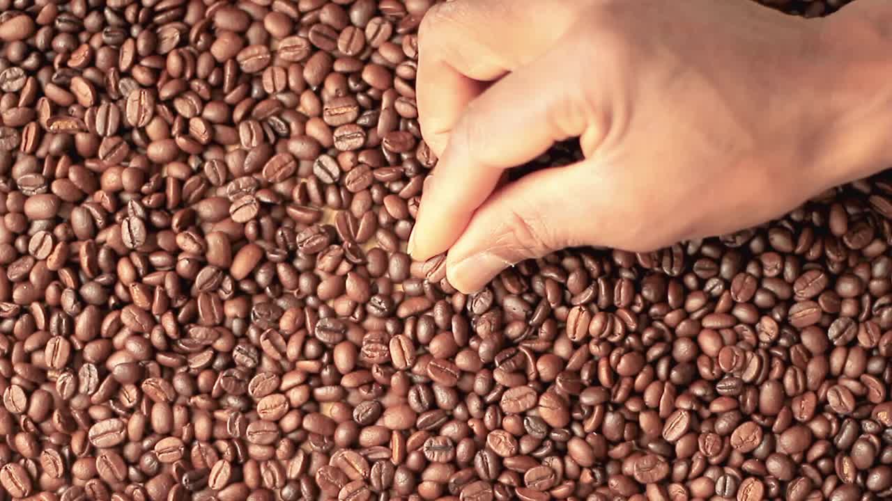 granos de café marrones asados en un montón con la mano almacen de video