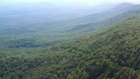 Frondosos-Bosques-Densos-En-El-Parque-Estatal-Amicalola-Falls-En-Georgia---Inclinación-Aérea