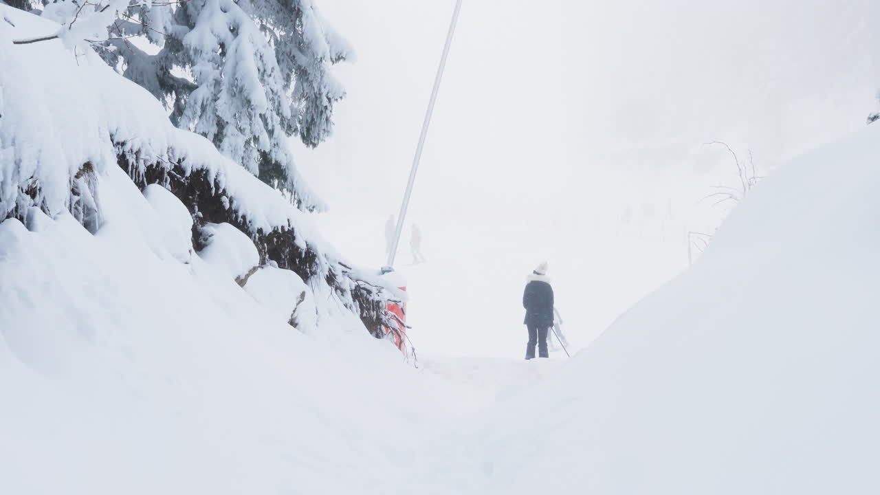 Paesaggio invernale con sci