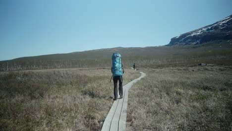 female hikers walking on wooden planks on the kungsleden in the swedish mountains, backpacking in the forest