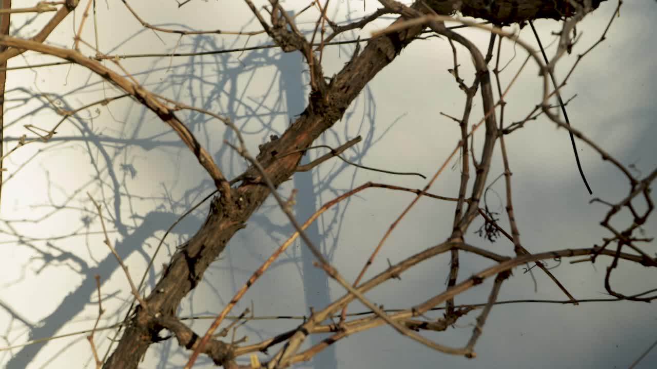 아침 해가 뜨는 동안 벽에 그림자가 드리워진 시간 경과