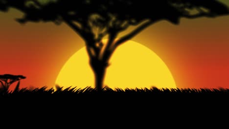 safari de áfrica alrededor de la vista