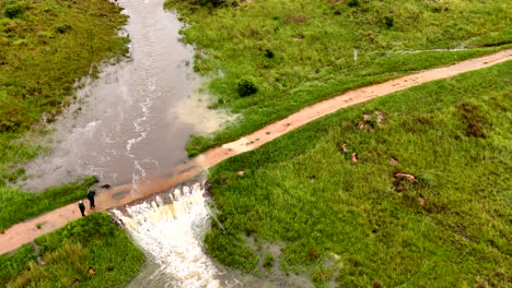 Two people check integrity of flooded bridge in lush rural countryside, aerial