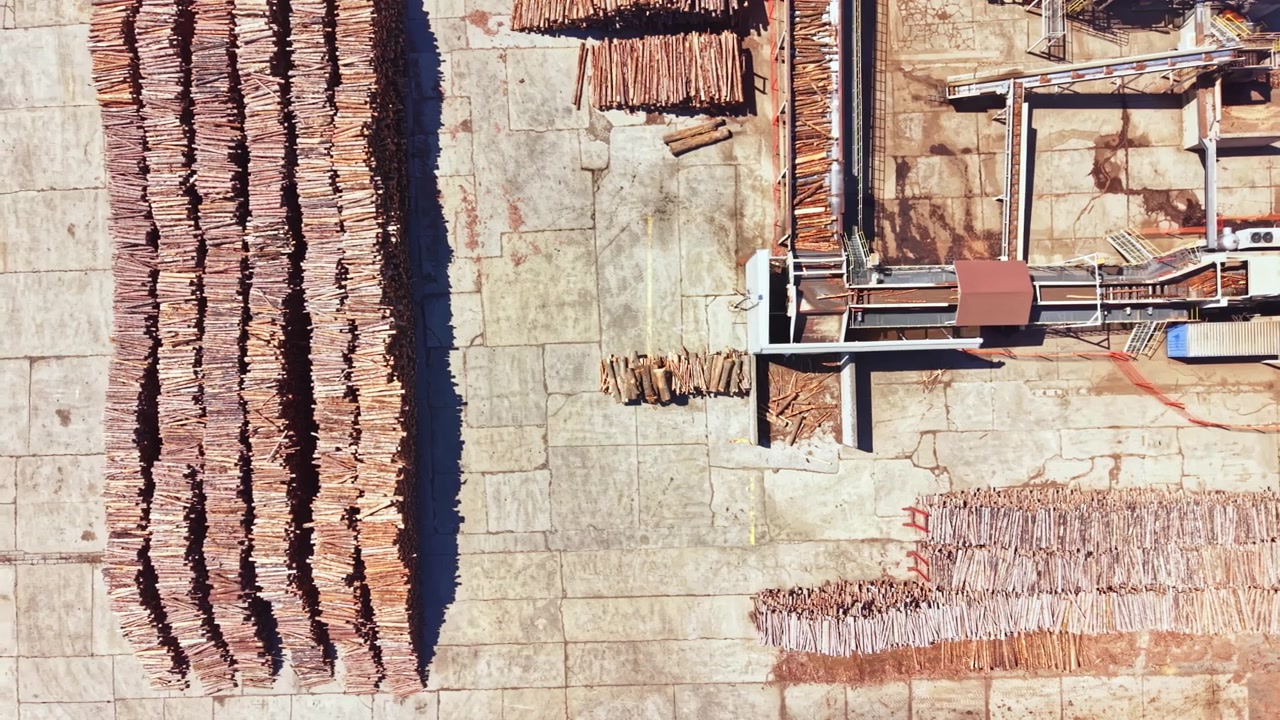 Wood processing area with stacked logs and machinery in action during daylight hours