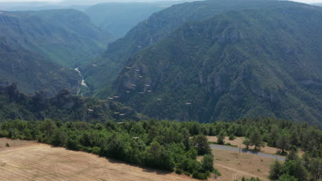 bandada de buitres grifo volando sobre las gargantas du tarn punto sublime raro