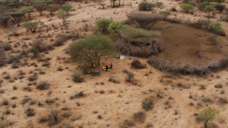 tribu hamar del valle del río omo, sudoeste de etiopía - toma aérea de drones