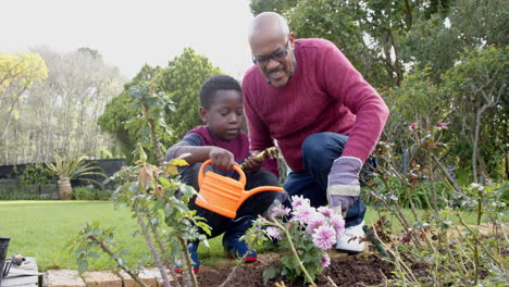 Feliz-Abuelo-Afroamericano-Y-Nieto-Regando-Plantas-En-El-Jardín,-Cámara-Lenta