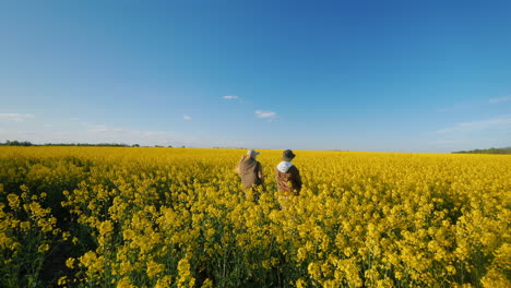 people walking through a yellow rapeseed field