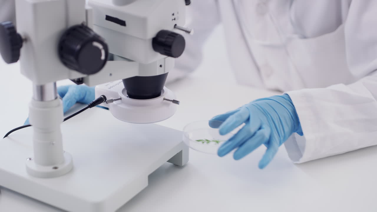 이 테스트가 끝나면 모든 것이 밝혀질 것입니다.