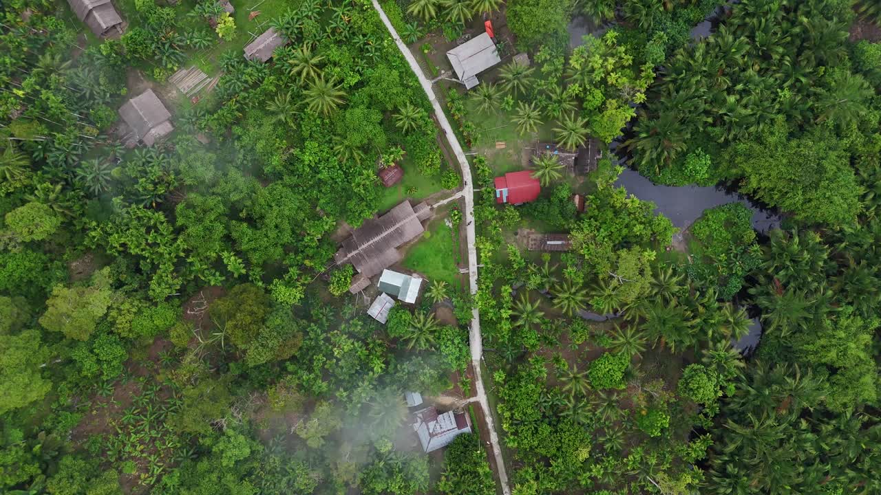 Drone aerial view of trees tropical rainforest jungle west sumatra Mentawai Islands Regency indonesia small village