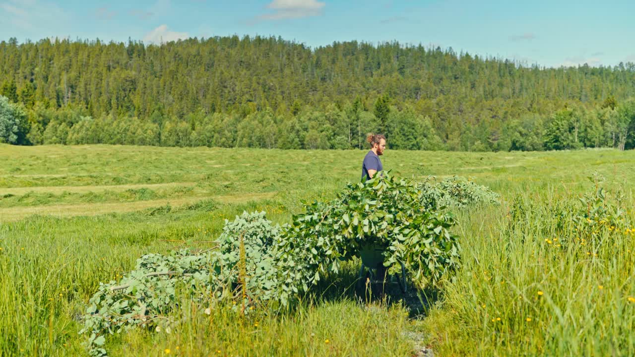 Homem Caucasiano Puxando Galhos de Árvores Cortados Com Fundo de Campo e Floresta. Tomada Estática.