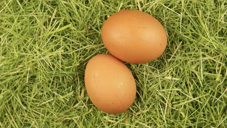 two brown hen eggs in a grass