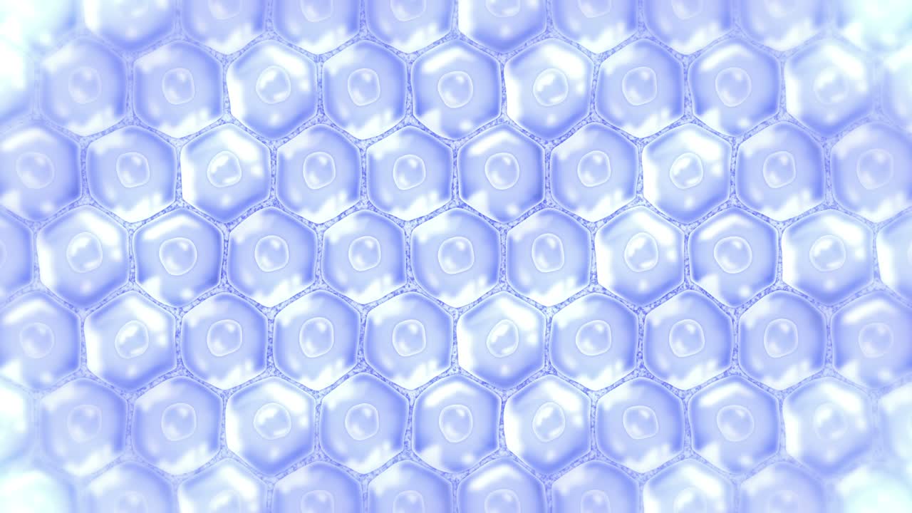 Human skin cells. Each cell with membrane. Cellular therapy. Disease treatment. Nucleus and vacuole. Regeneration. Loop animation.