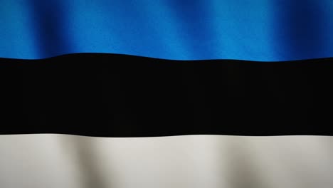 estonia flag background waving full screen banner - seamless video animation loop