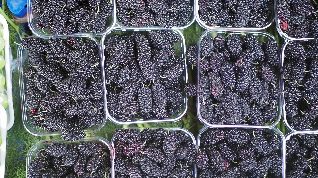 Overhead View of Fresh Mulberries in Plastic Containers