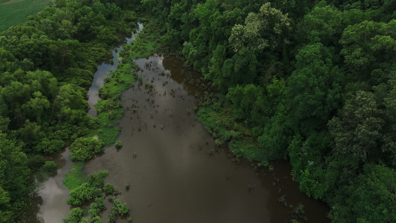 pantano dentro del bosque con árboles verant en el parque estatal de aterrizaje de cola de ratón