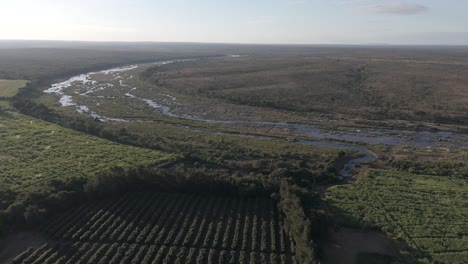 drone view reveals contrasting sugarcane and pepper farms, divided by a seasonal river, bordering kruger national park