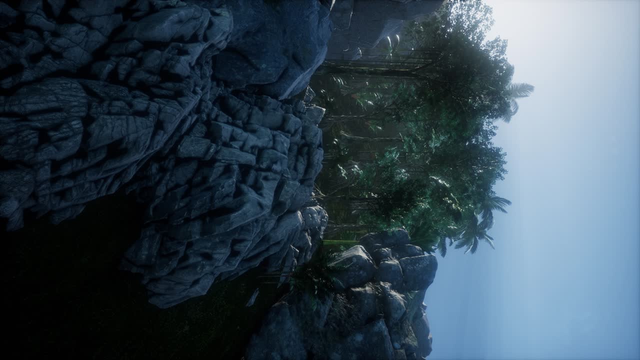 los rayos del atardecer a través de las palmeras