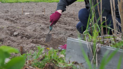 Eine-Nahaufnahme-Von-Jemandem,-Der-Mit-Handschuhen-In-Einem-Garten-Arbeitet