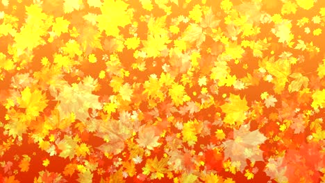 4k autumn leaf fall background