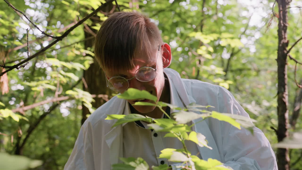 Close view of scientific researcher in white coat observing leaves in forest using microscope, focusing on ecological study and plant details under bright sunlight within woodland environment