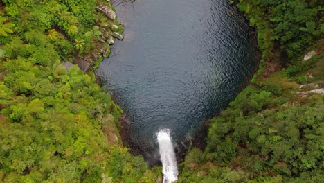 wooden viewing platform of omanawa falls track near tauranga in bay of plenty, north island, new zealand