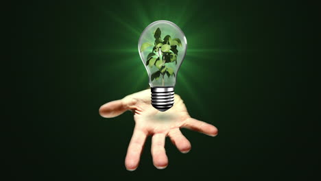 hand presenting light bulb with plant