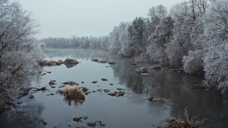 beautiful river in winter season. flight over the trees covered with white snow on both sides of a river. drone view.