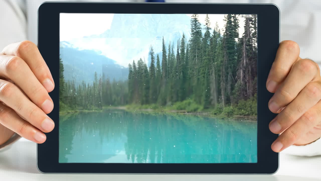 Tablet showing Forest landscape