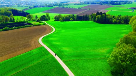 aerial view of serene countryside road winding through lush green fields and farmlands