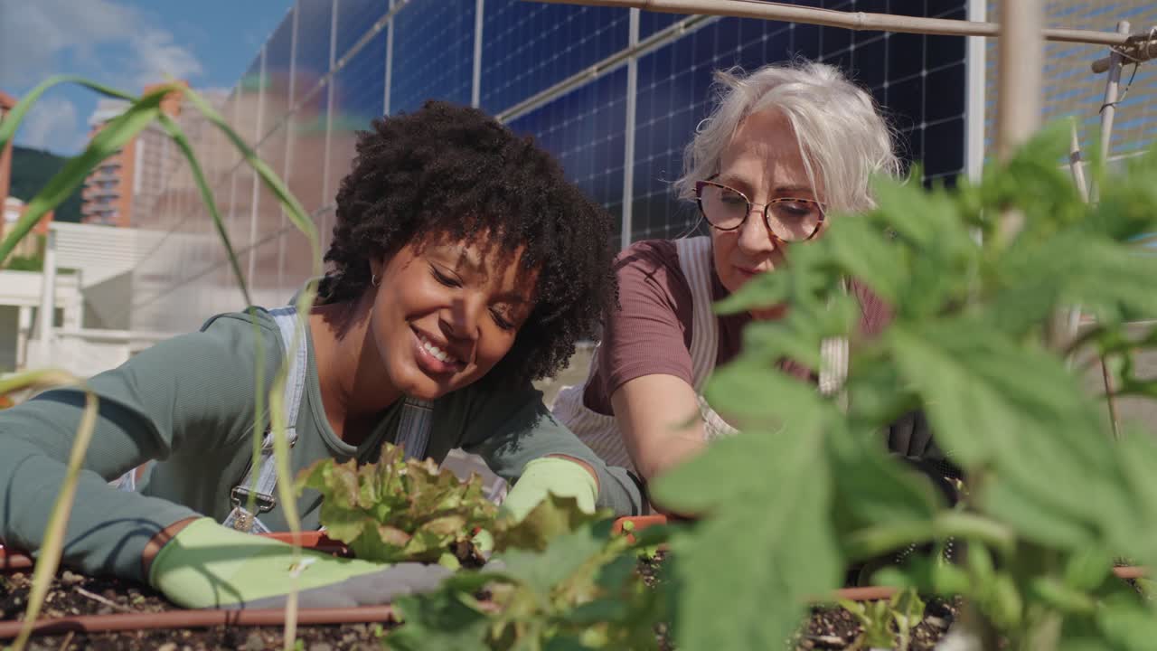 Women Gardening in a Rooftop Garden with Solar Panels