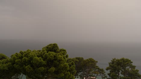 Lluvia-Masiva-A-Orillas-Del-Mar-Adriático-Con-Pinos-Verdes-De-Alepo-En-Primer-Plano