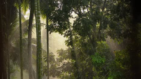 森林中正在下雨