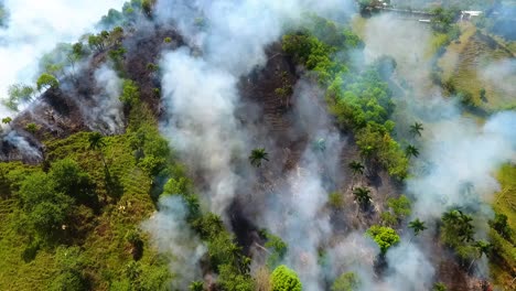 Vista-Aérea-De-La-Deforestación-De-La-Selva-Tropical,-La-Quema-De-Incendios-Forestales-Y-El-Tabaquismo,-En-Las-Selvas-De-México,-Día-Soleado,-En-América-Central---Aumento,-Disparo-De-Drones