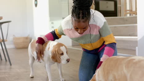 african american young woman wearing colorful sweater gently petting dog, at home