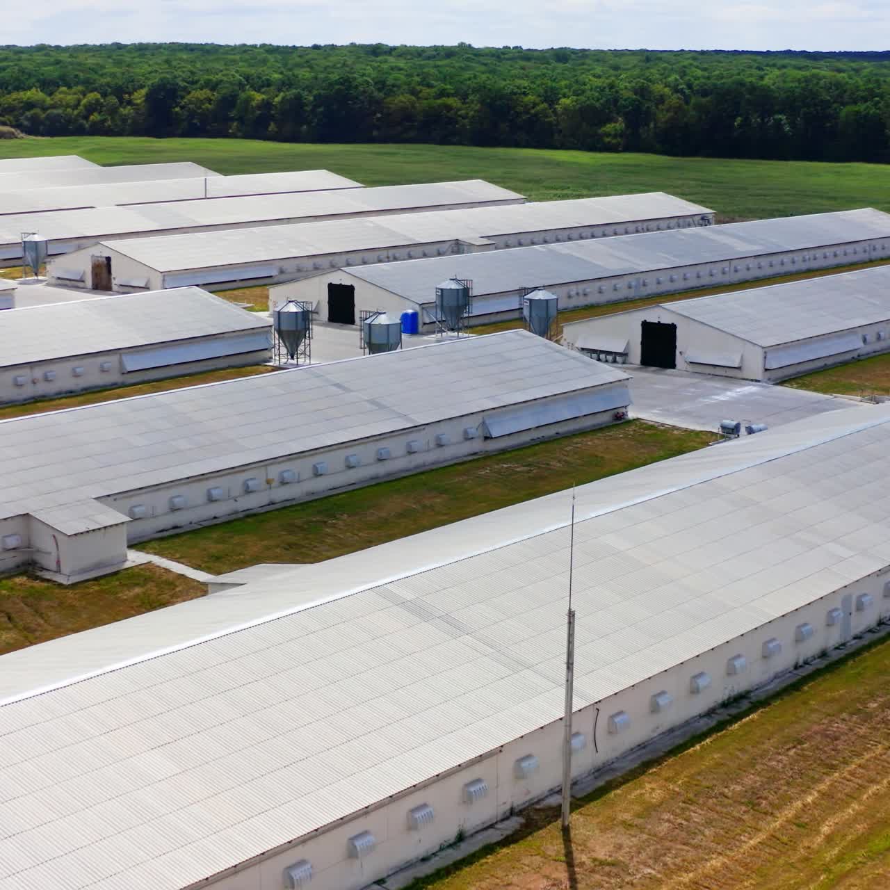 White buildings for agribusiness on green forest background. Modern farmhouses for livestock. Large territory of a new farm among nature