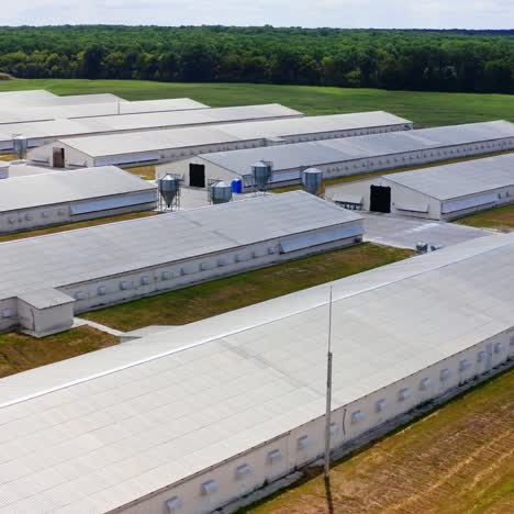 white buildings for agribusiness on green forest background. modern farmhouses for livestock. large territory of a new farm among nature