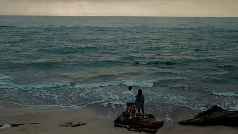 aerial view of young happy couple walking on beach with husky dog