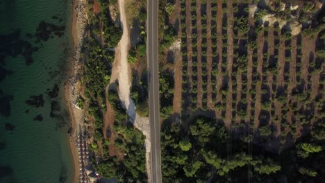 Aerial-shot-of-sea-coast-with-green-trees-and-road-along-waterfront-Greece