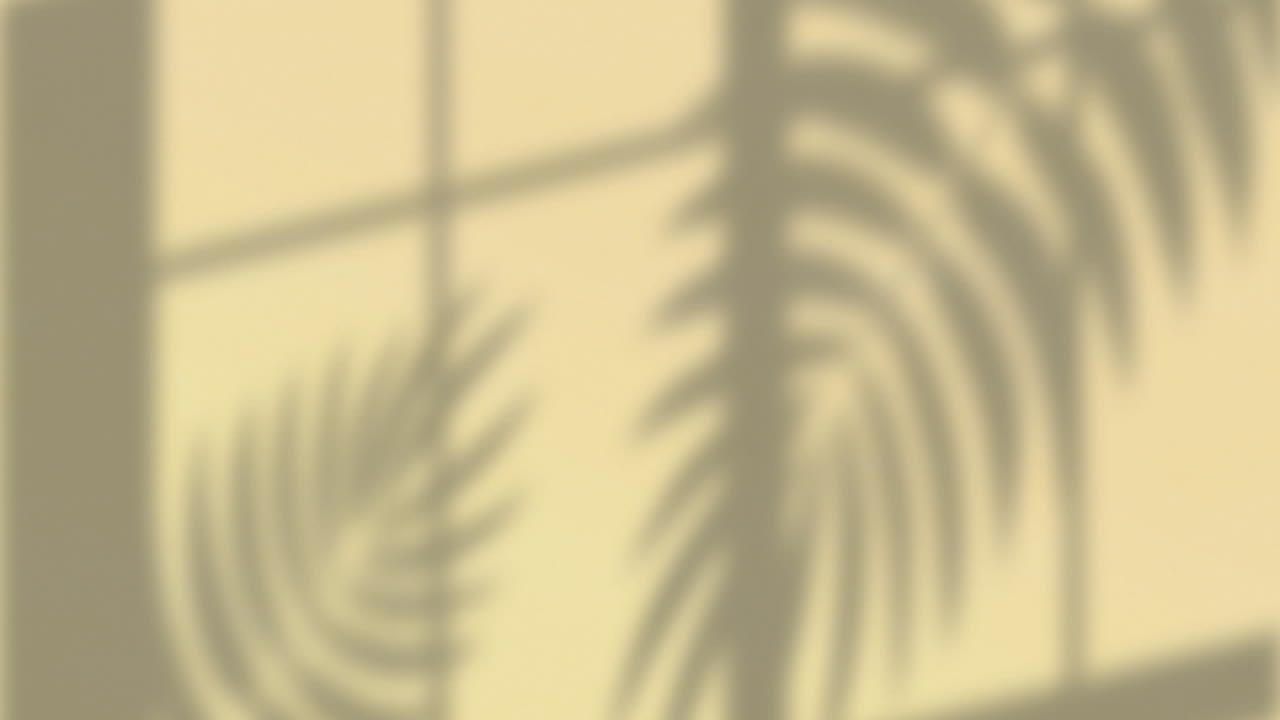 Animation of window frame and plant leaf shadows moving on cream wall background