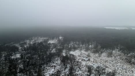 Bosque-De-Invierno-Pan-Aéreo-Cielo-Brumoso-4k